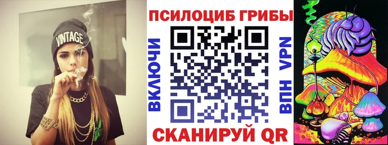 Псилоцибиновые грибы Magic Shrooms  ОМГ ОМГ вход  Карачаевск 